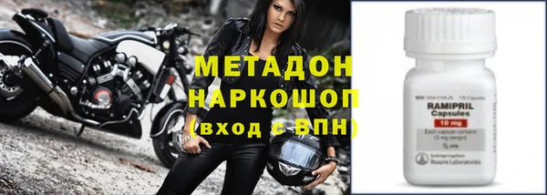 прущие грибы Аркадак
