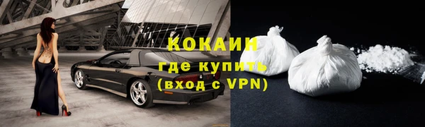 прущие грибы Аркадак