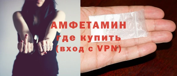 прущие грибы Аркадак