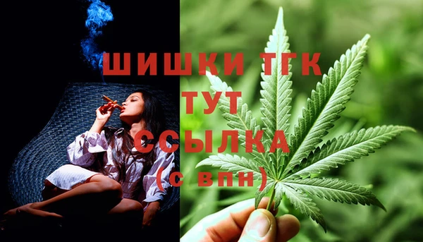 прущие грибы Аркадак